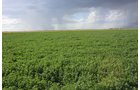 Property photo 72 - LAND AUCTION, 3255+/- Acres offered in 13 Tracts
